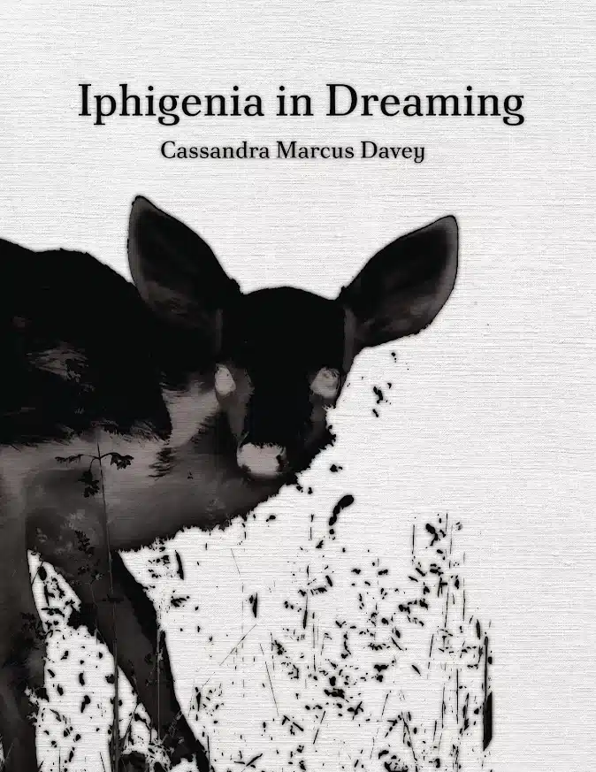 Iphigenia in Dreaming Poster