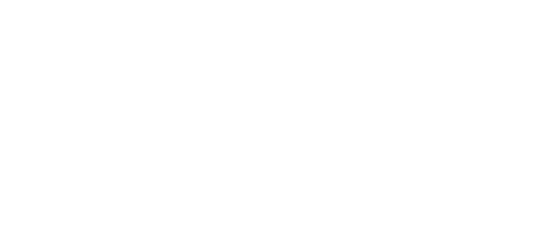 Visit the Toronto Arts Council Website