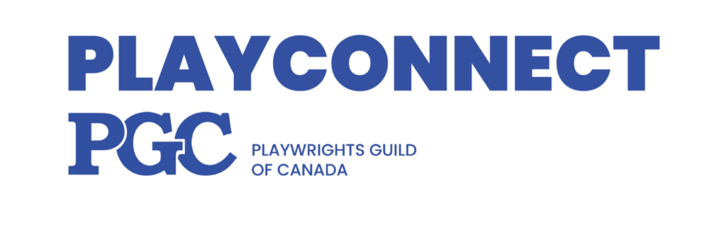 Download the Blue Playconnect Logo